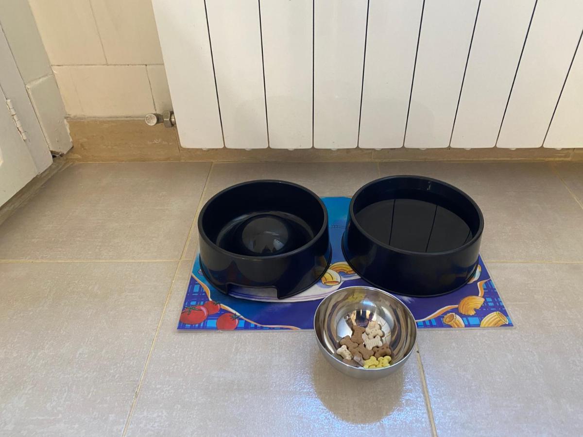 Chez Helene 3 Etoiles, Labellise Disabled Pmr,Pour 4 Personnes Chiens Bienvenus-Pet Friendly Lägenhet Bourg-Madame Exteriör bild