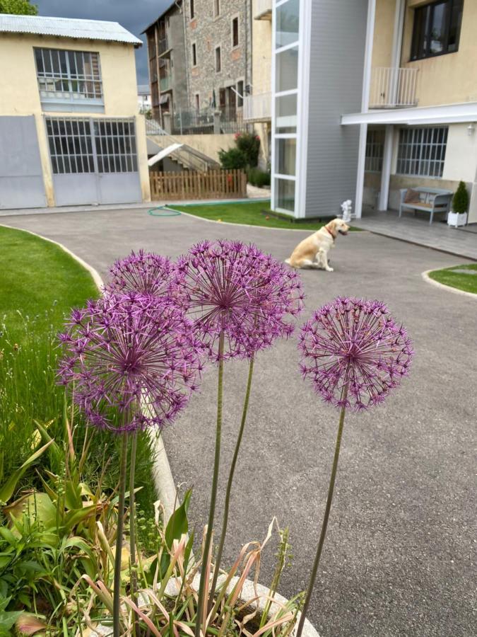 Chez Helene 3 Etoiles, Labellise Disabled Pmr,Pour 4 Personnes Chiens Bienvenus-Pet Friendly Lägenhet Bourg-Madame Exteriör bild