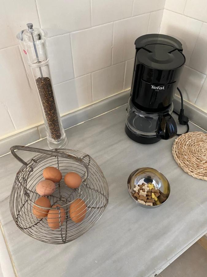 Chez Helene 3 Etoiles, Labellise Disabled Pmr,Pour 4 Personnes Chiens Bienvenus-Pet Friendly Lägenhet Bourg-Madame Exteriör bild